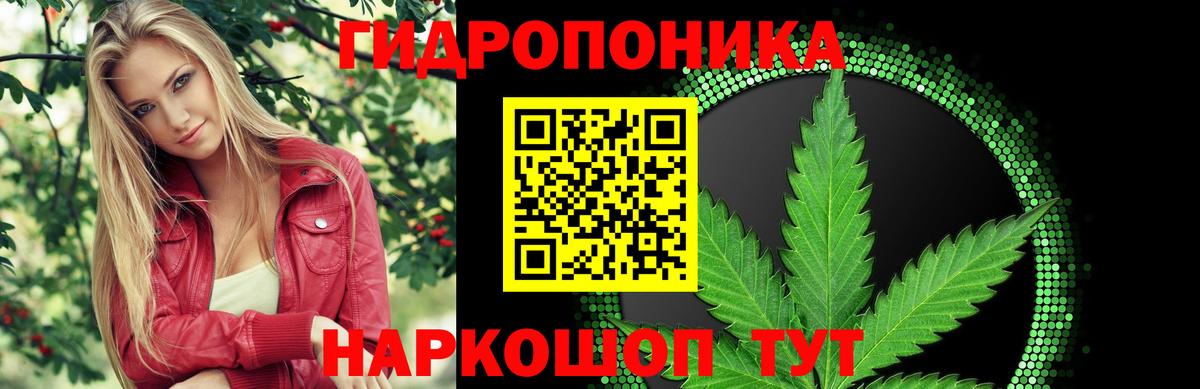 Кингисепп  Канабис OG Kush  Вход с VPN  Шишки марихуана OG Kush  Конопля Ganja 